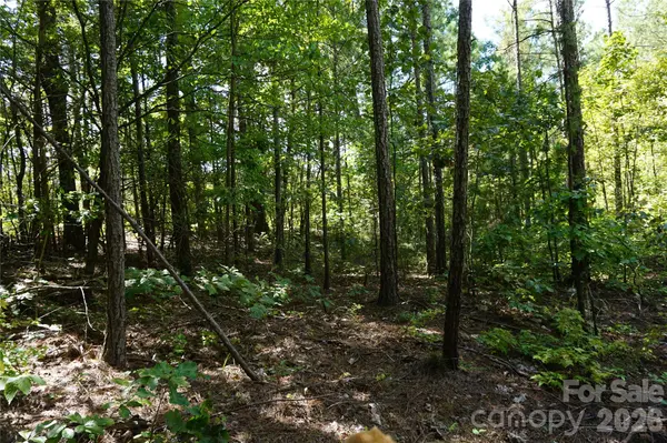 18+/- AC Lot 4 Parson RD, Mcconnells, SC 29726
