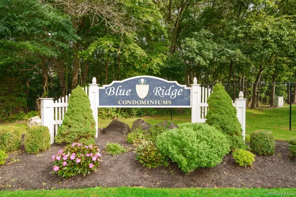 147 Birchwood RD #147, Medford, NY 11763