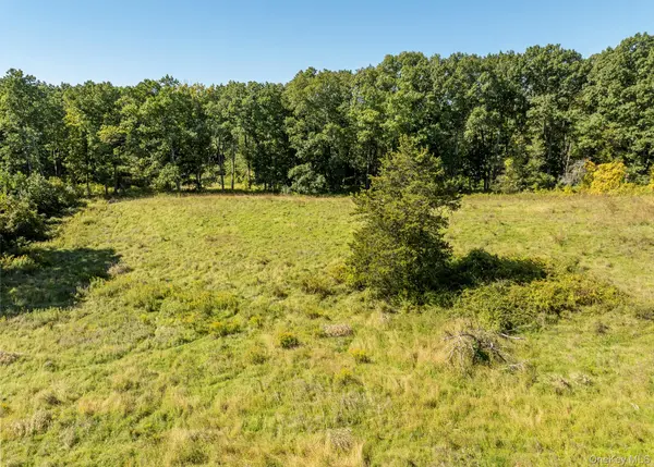 78 Fox LN, Tivoli, NY 12583