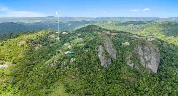 Carr 162 BO CUYÓN, Aibonito, PR 00705