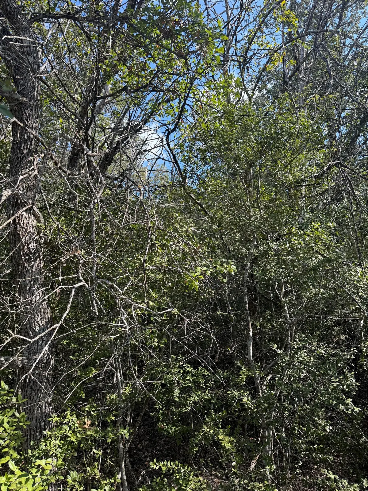 251 Iva LN, Bastrop, TX 78602