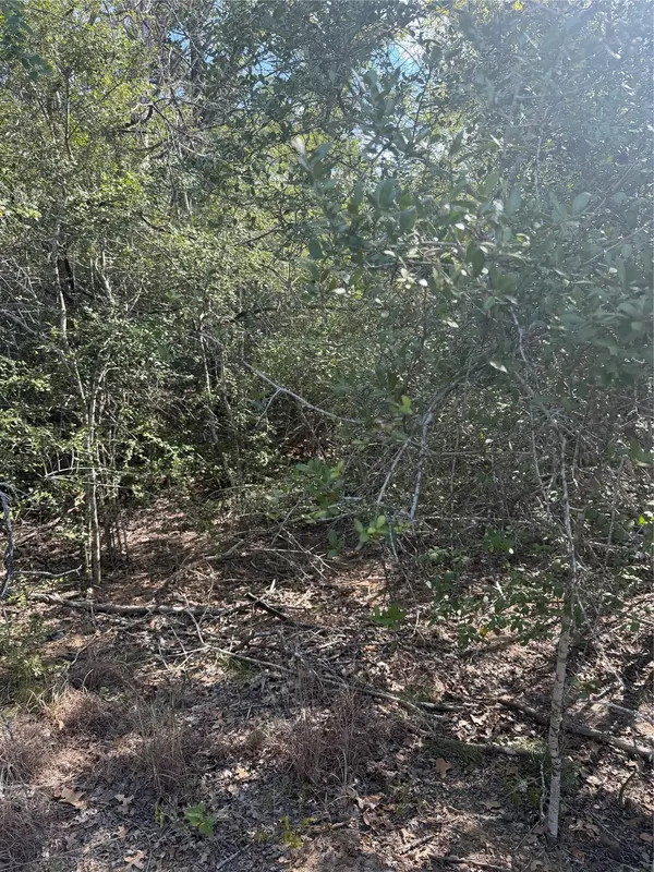 251 Iva LN, Bastrop, TX 78602