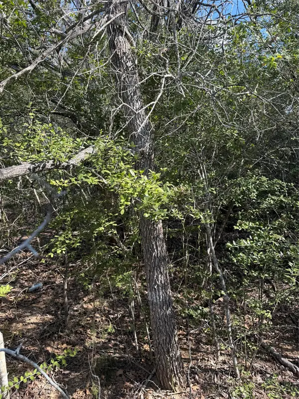 251 Iva LN, Bastrop, TX 78602