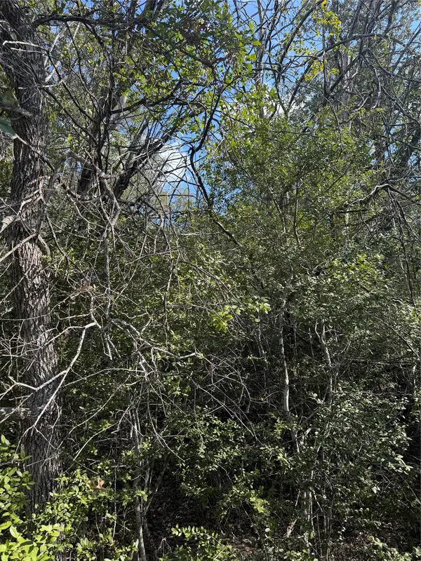 251 Iva LN, Bastrop, TX 78602