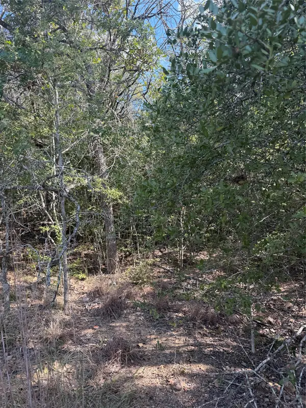 251 Iva LN, Bastrop, TX 78602