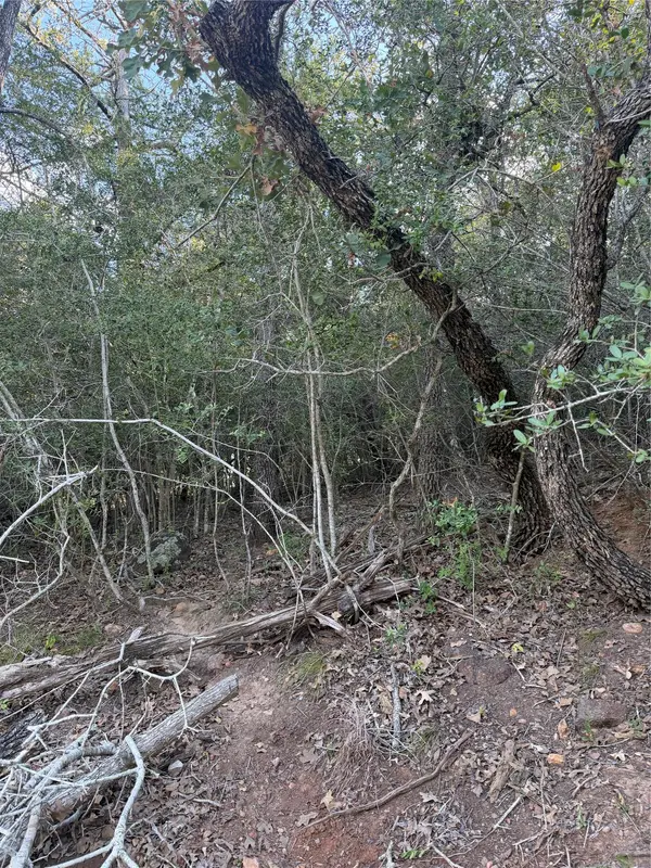 Lot 376 Palikea CIR, Bastrop, TX 78602