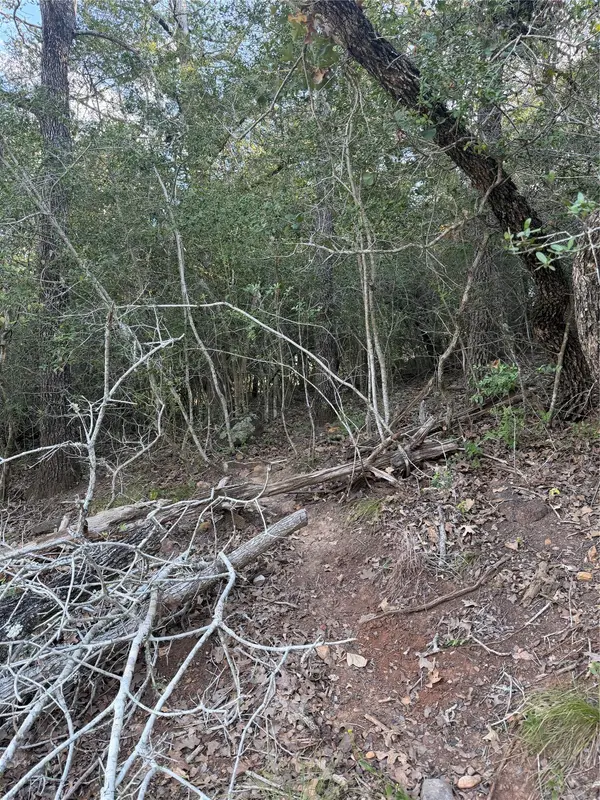 Lot 376 Palikea CIR, Bastrop, TX 78602