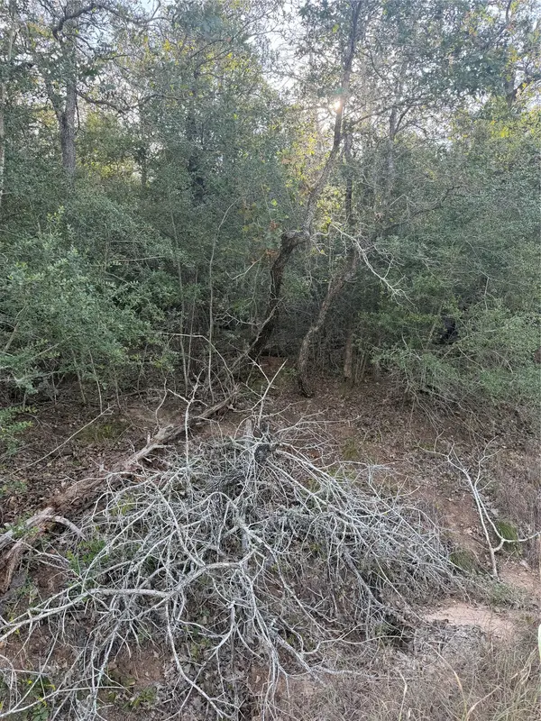 Lot 376 Palikea CIR, Bastrop, TX 78602