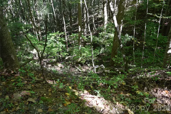1410 N Double Knob LOOP, Arden, NC 28704