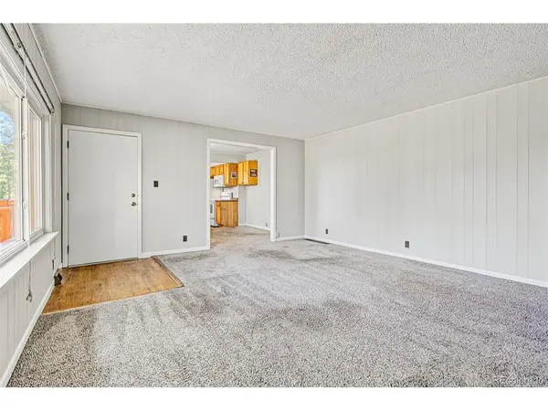 29592 Dorothy, Evergreen, CO 80439