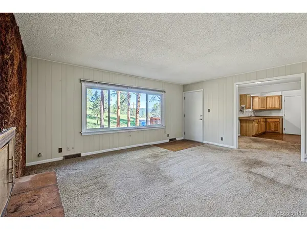 29592 Dorothy, Evergreen, CO 80439