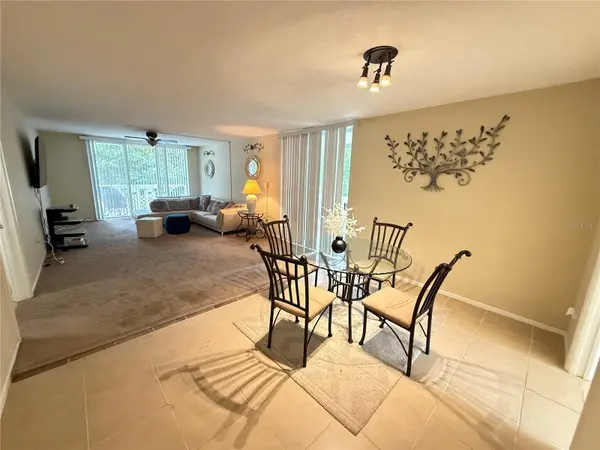 1009 PEARCE DR #206, Clearwater, FL 33764