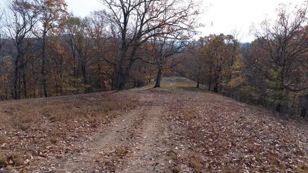 0 Brazier Lane, Gallatin, TN 37066