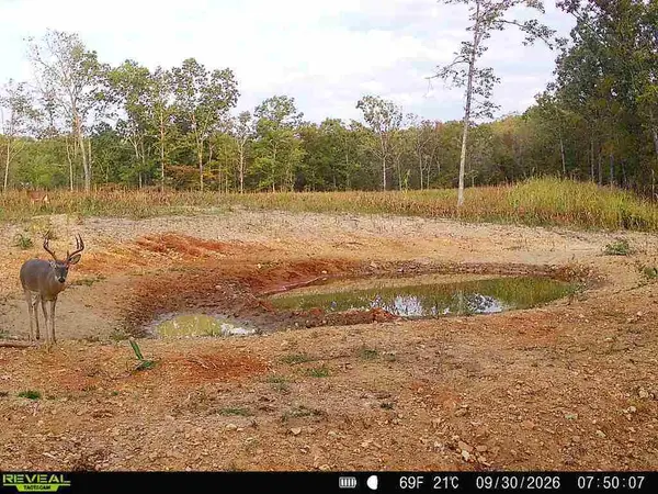 000 76-126, Norwood, MO 65717