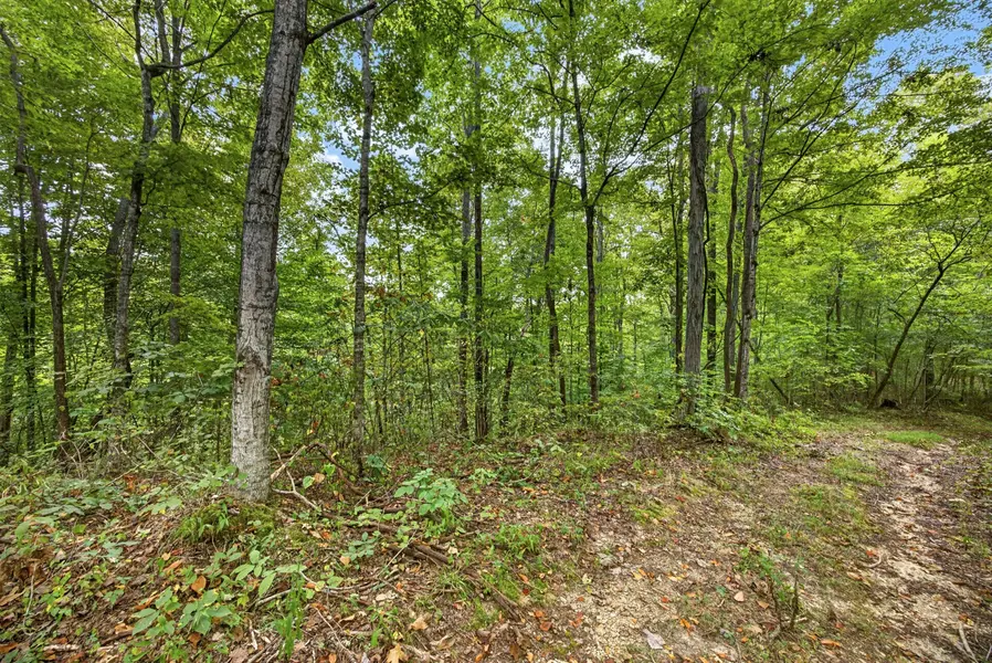 0 Timber Ridge Lane, Celina, TN 38551
