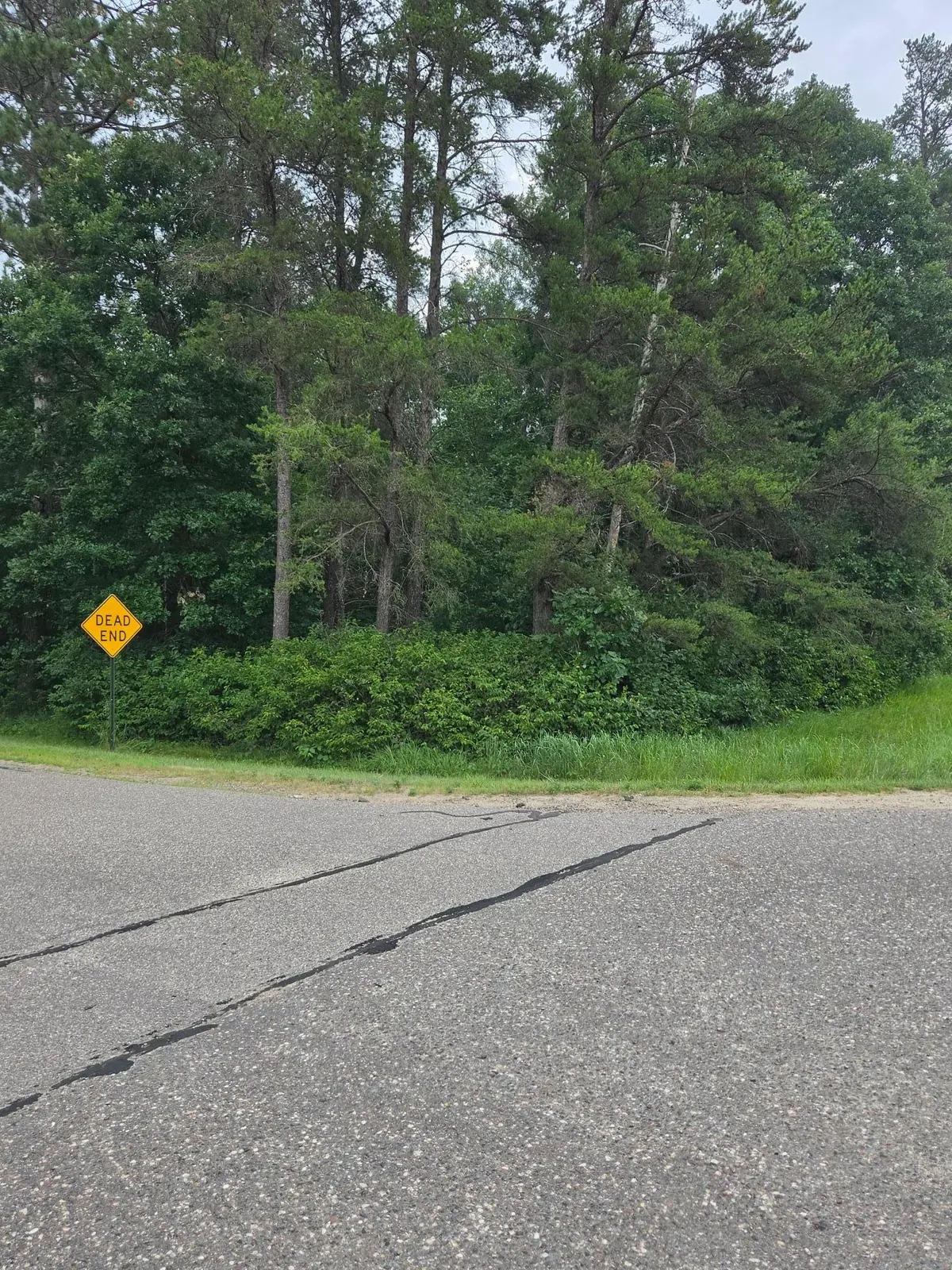 7614 Azalea RD, Pillager, MN 56473
