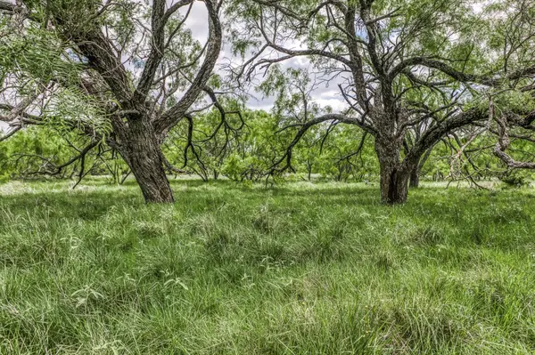 00 County Road 333, Goldthwaite, TX 76844