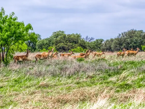 00 County Road 333, Goldthwaite, TX 76844
