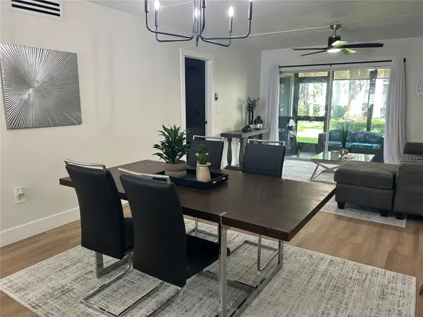 201 PALMETTO CT #201, Oldsmar, FL 34677