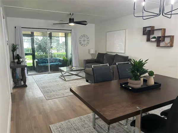 201 PALMETTO CT #201, Oldsmar, FL 34677