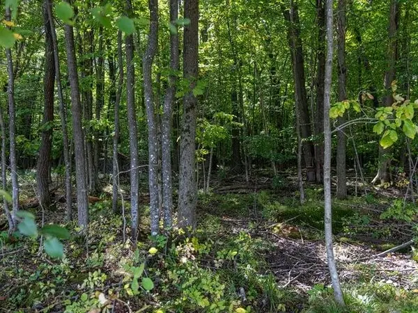 CTY HWY A, Athens, WI 54411
