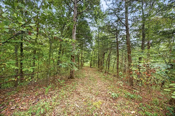 0 Timber Ridge Lane, Celina, TN 38551