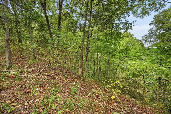 0 Timber Ridge Lane, Celina, TN 38551