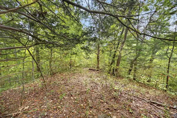 0 Timber Ridge Lane, Celina, TN 38551