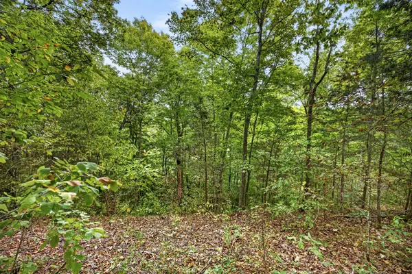 0 Timber Ridge Lane, Celina, TN 38551