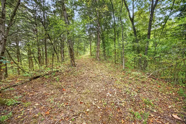 0 Timber Ridge Lane, Celina, TN 38551