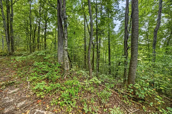 0 Timber Ridge Lane, Celina, TN 38551