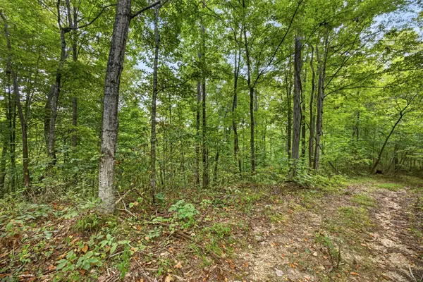0 Timber Ridge Lane, Celina, TN 38551