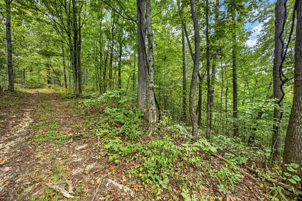 0 Timber Ridge Lane, Celina, TN 38551