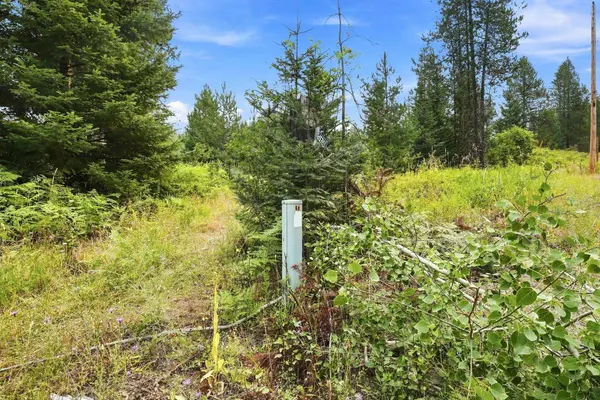 1301 Roberts Rd, Newport, WA 99156