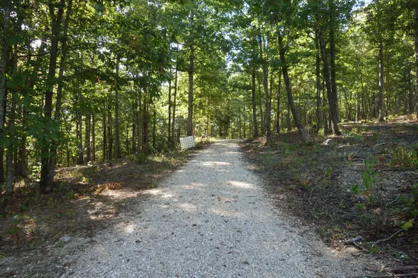18698 Center Road, Eminence, MO 65466