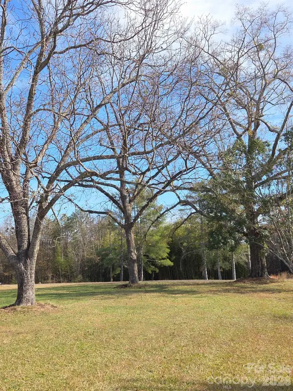 923 Green Creek DR, Columbus, NC 28722