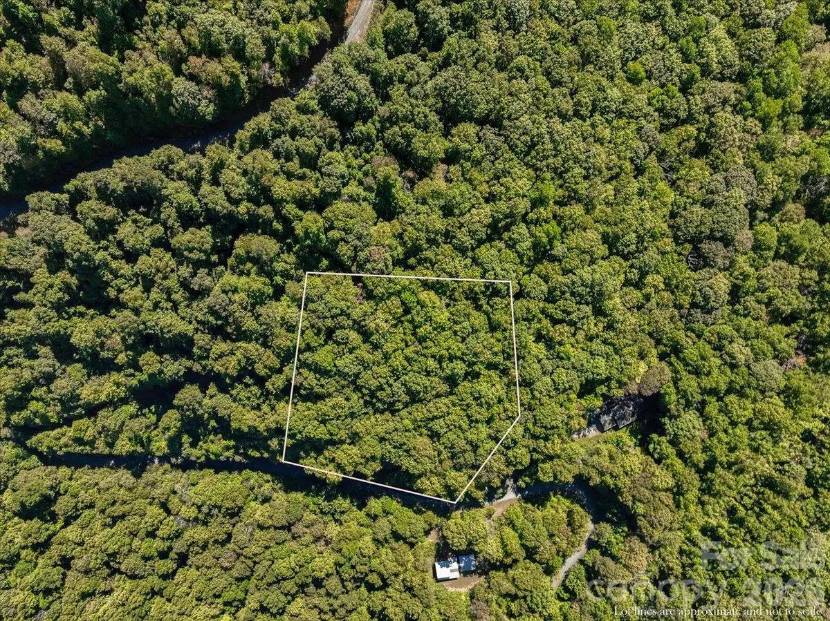 001 Natures TRL, Burnsville, NC 28714