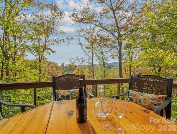 351 Buck Springs RUN, Mars Hill, NC 28754
