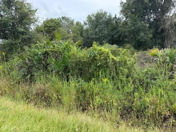 14616 NW 260TH ST, Okeechobee, FL 34972