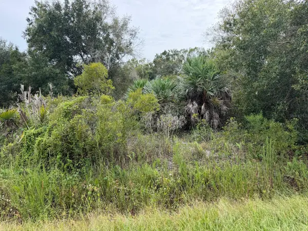 14616 NW 260TH ST, Okeechobee, FL 34972