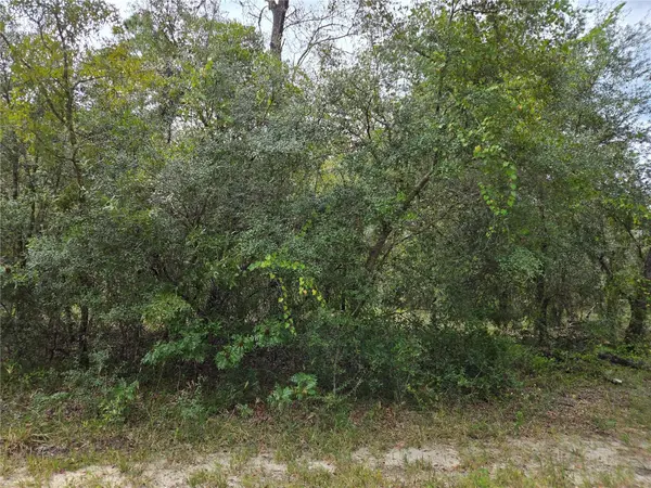 0000 SW SOUTH WATER CT, Dunnellon, FL 34431