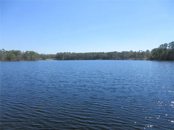 1265 NE 130TH TER, Silver Springs, FL 34488
