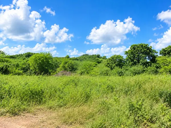 PR 77711, Guayama, PR 00784