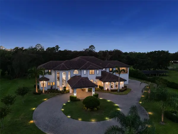 3111 JOHN MOORE RD, Brandon, FL 33511