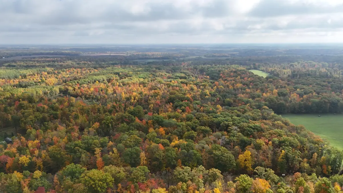 TBD Skyview ST, Brook Park, MN 55007