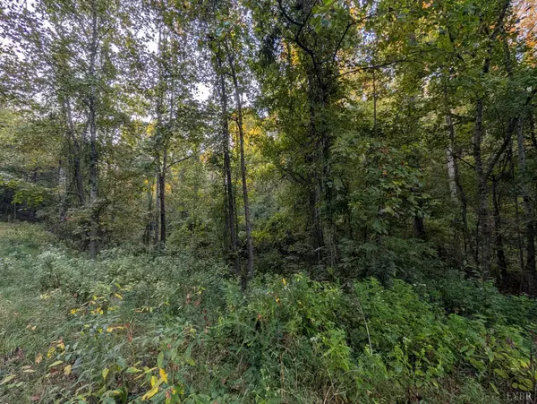 206 Chambersville ST, Lynchburg, VA 24503
