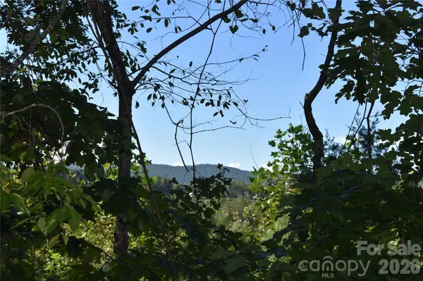 120 Woodmont DR, Nebo, NC 28761