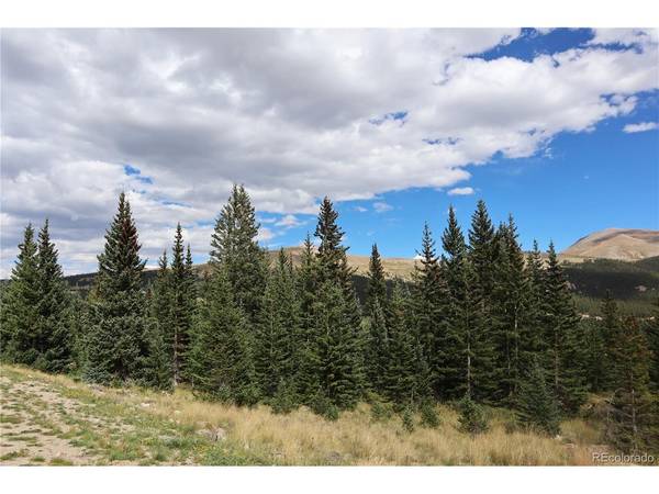1480 Roberts, Fairplay, CO 80440