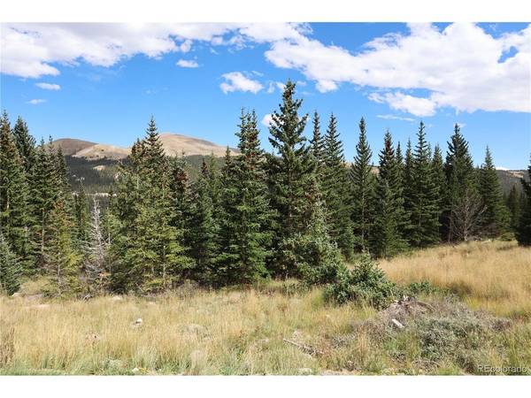 1480 Roberts, Fairplay, CO 80440