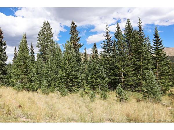 1480 Roberts, Fairplay, CO 80440
